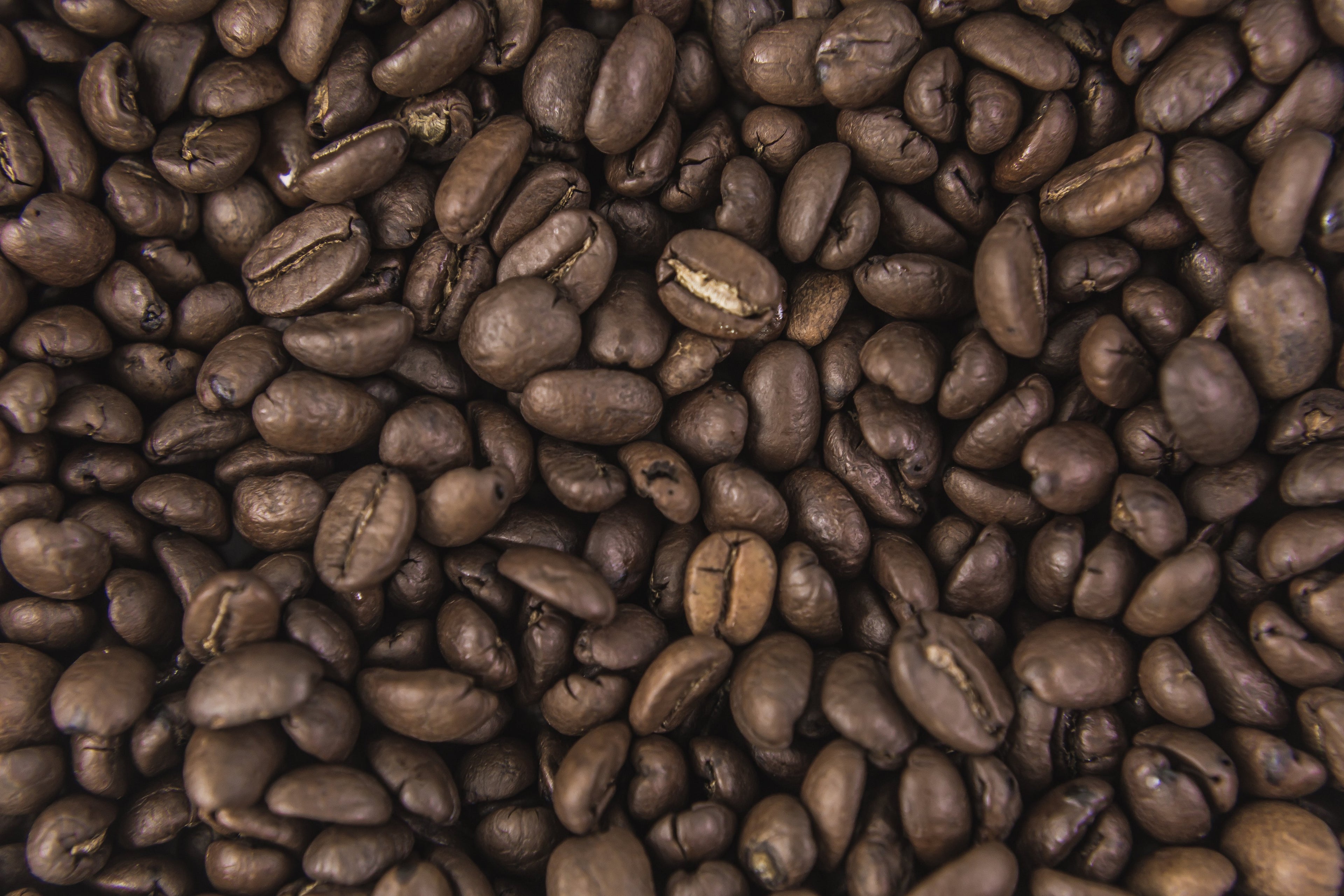Bald Head Coffee ®Club