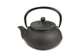 Nara Cast Iron 20 ounce Tea Pot