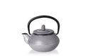 Glazed Oyster Cast Iron 10 ounce Tea Pot