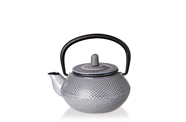 Glazed Oyster Cast Iron 10 ounce Tea Pot
